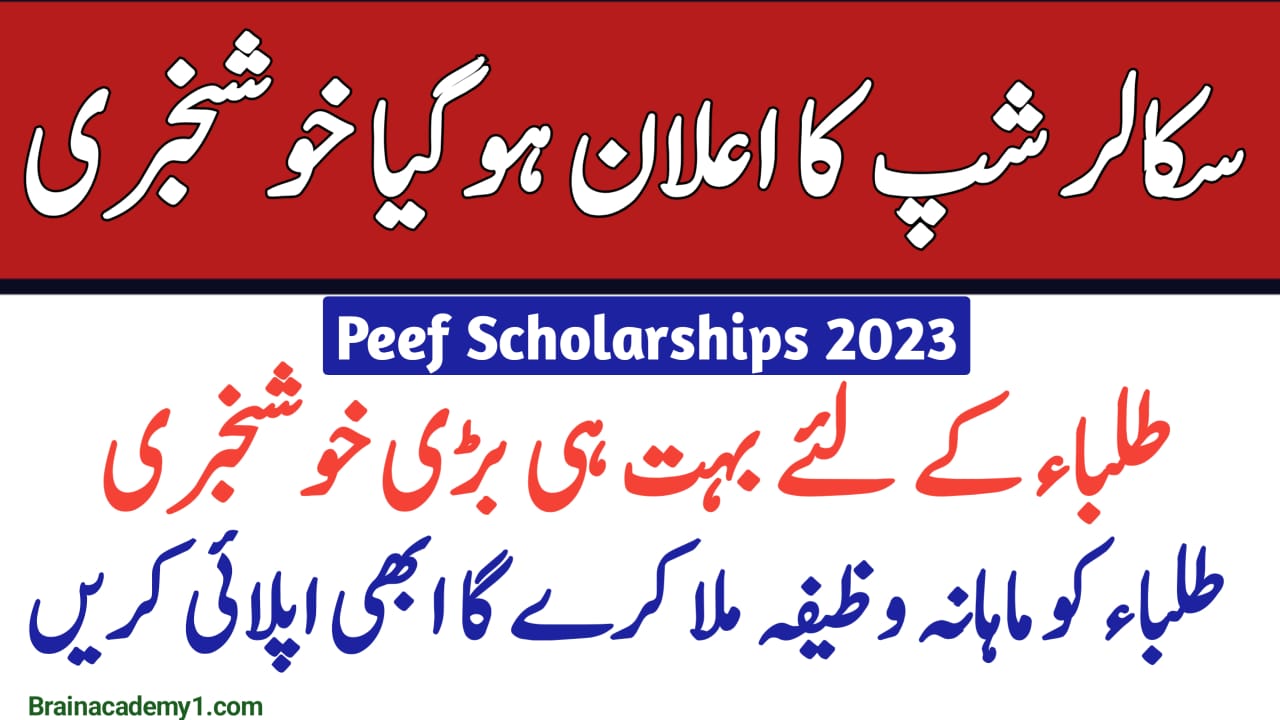 PEEF Scholarship 2023 | Scholarship Based on Quota Apply Now