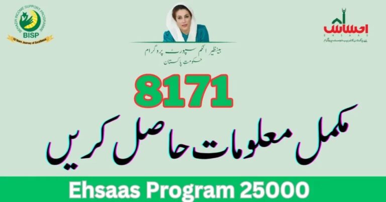 8171 Ehsaas Program 25000 Check Online